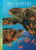 SEA TURTLE COVER 2014