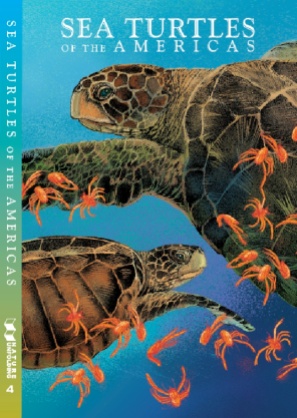 SEA TURTLE COVER 2014
