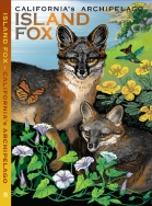 island-fox-cover