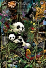 Panda-Poster_03