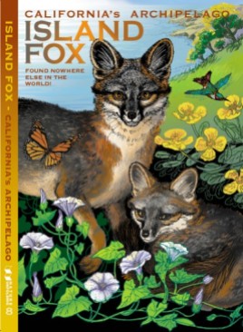#8.ISLAND FOX cover